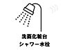 その他：洗面化粧台シャワー水栓