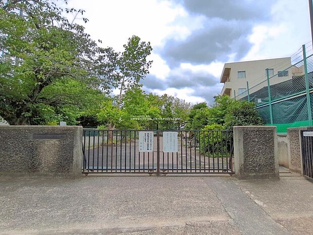 日野市立南平小学校まで約900m