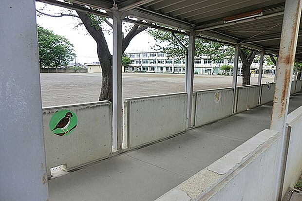 小平市立小平第一中学校 550m