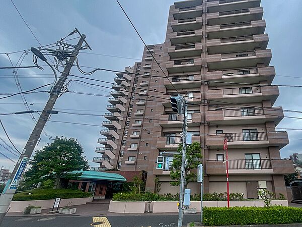 存在感のある重厚なデザインが目を引く大規模レジデンス！前面道路が広く陽当たり良好な好立地。