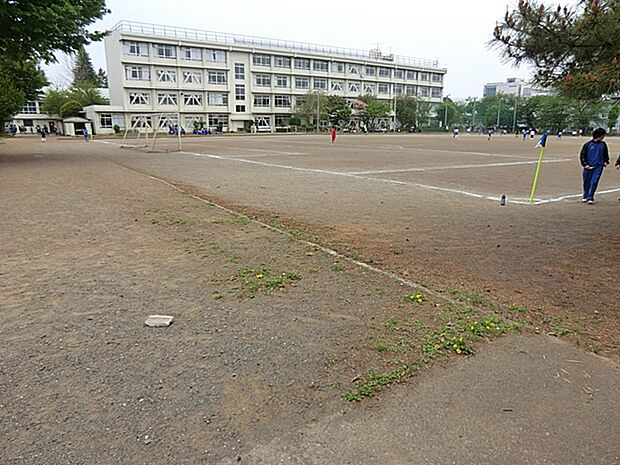 小平市立小平第二中学校 600m