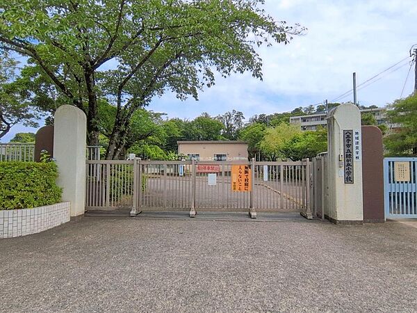 八王子市立緑が丘小学校まで約1100m