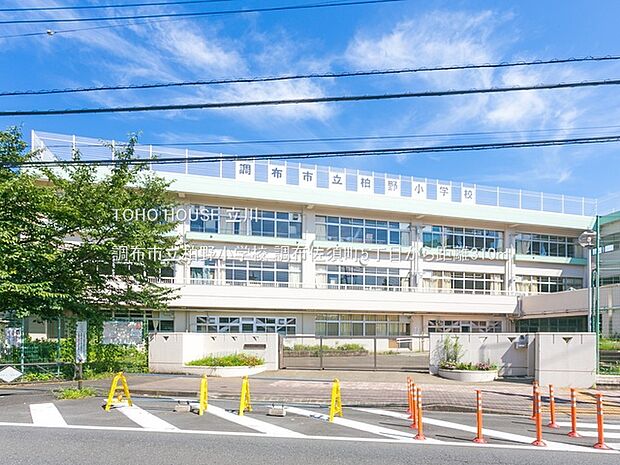調布市立柏野小学校 310m