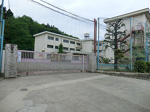 八王子市立川口小学校 750m