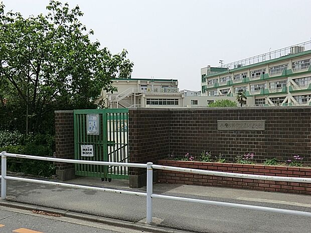 小金井市立緑小学校 800m