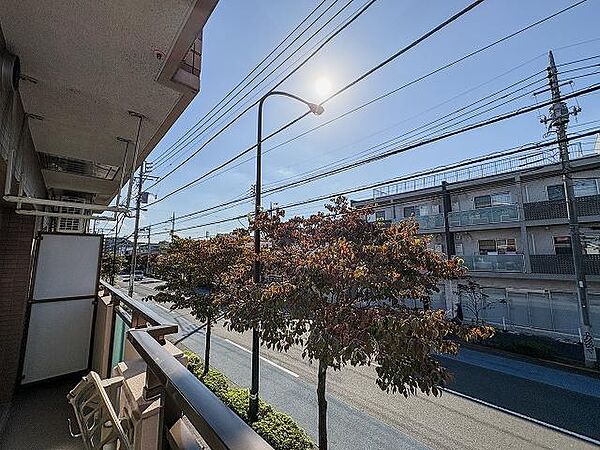 バルコニーからは前面道路の街路樹や青空が見渡せ、開放的な眺望が広がっています。心地よい光が差し込み、季節の移り変わりを感じながら快適に過ごせる気持ちの良い見晴らしです。