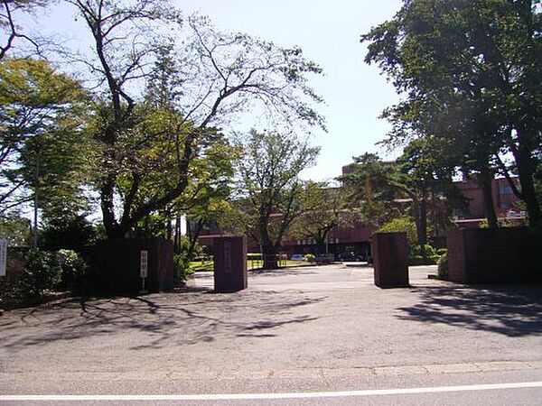 apartment 東京都清瀬市竹丘2丁目
地図を見る