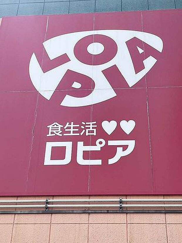 ロピア開成店 徒歩8分。 600m