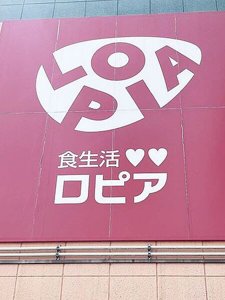 ロピア小田原高田店 徒歩10分。 770m