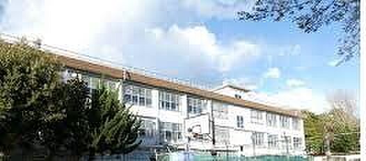 小田原市立城南中学校 徒歩15分。 1140m