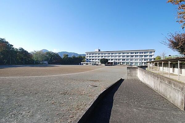 南足柄市立/足柄台中学校 徒歩13分。 1040m