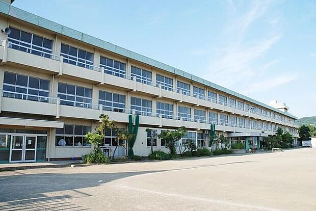 小田原市立千代小学校 徒歩10分。 730m