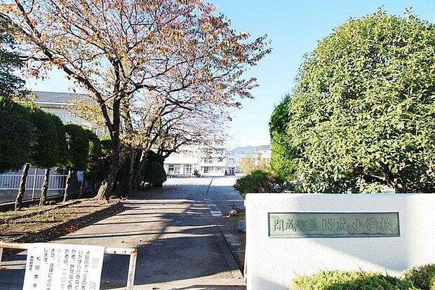 開成町立開成小学校 徒歩7分。 520m