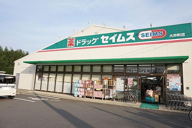 ドラッグセイムス開成宮台店 徒歩15分。 1190m