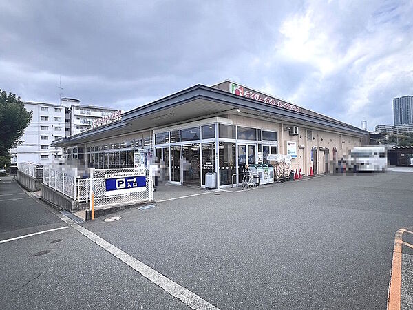 デイリーカナートイズミヤ上新田店