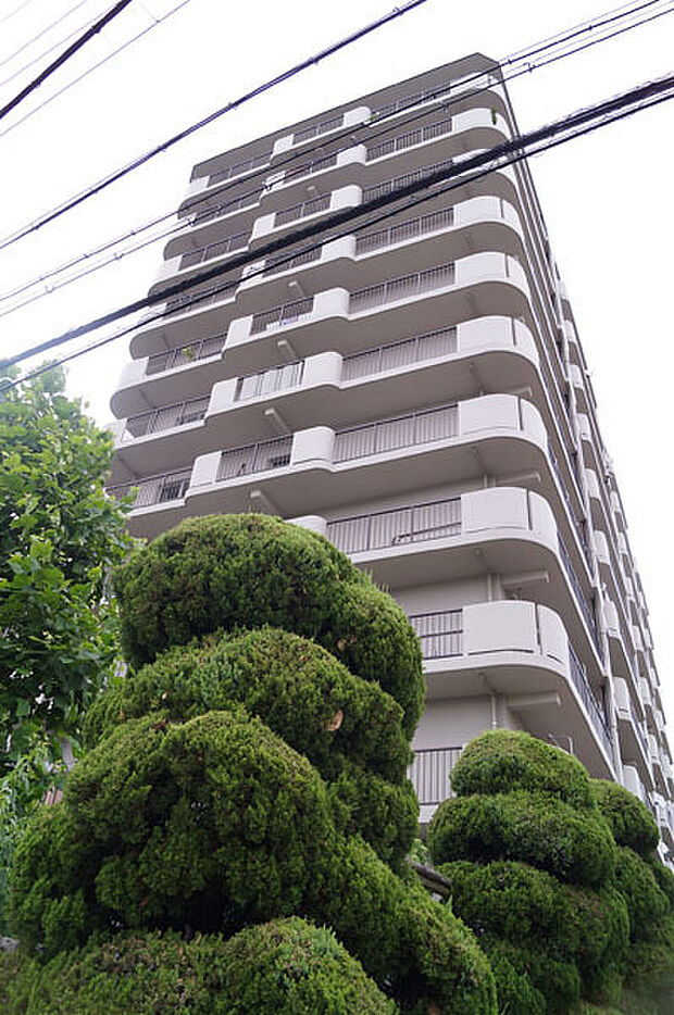 八戸ノ里スカイハイツ(2LDK) 8階の外観