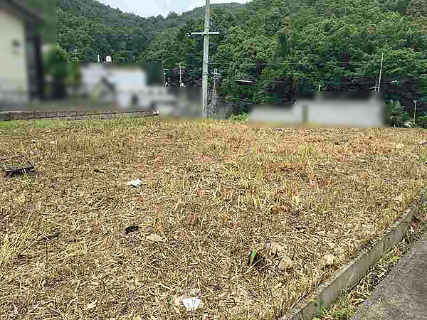 外観：326000236416