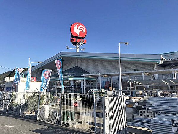 コメリハード＆グリーン信楽店