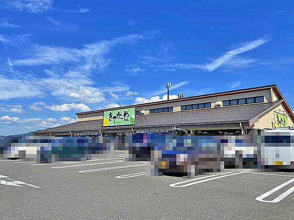 きてかーな