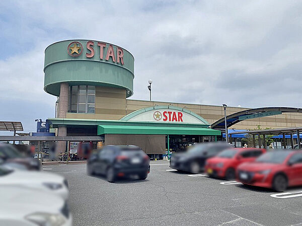 スターグリーンヒル店