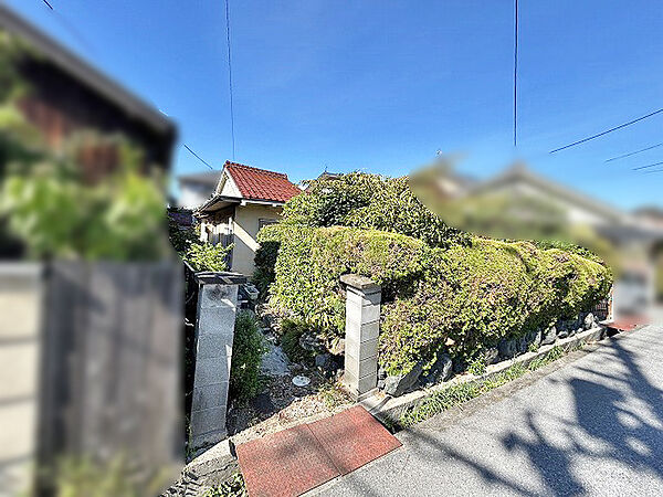 外観：325000125769