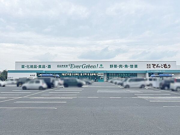 スーパーエバグリーンプラス 橿原膳夫店