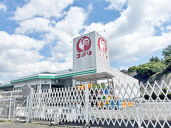 コメリハード＆グリーン榛原店
