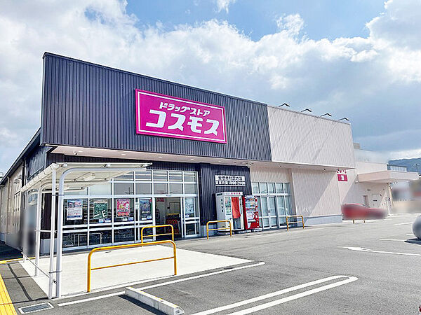 ドラッグストアコスモス 安倍木材団地店