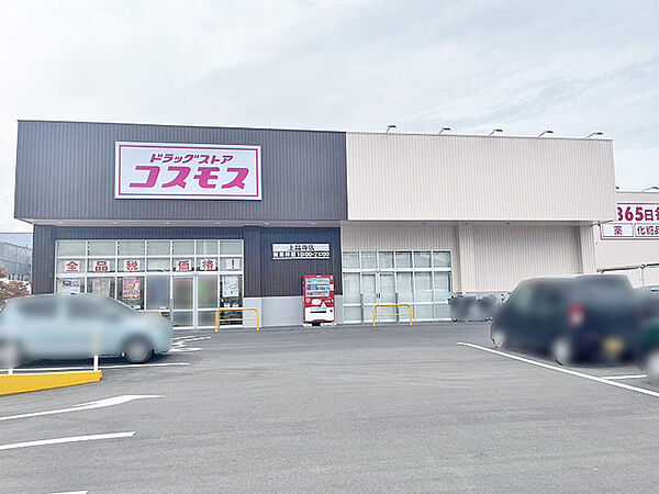 ドラッグストアコスモス上品寺店