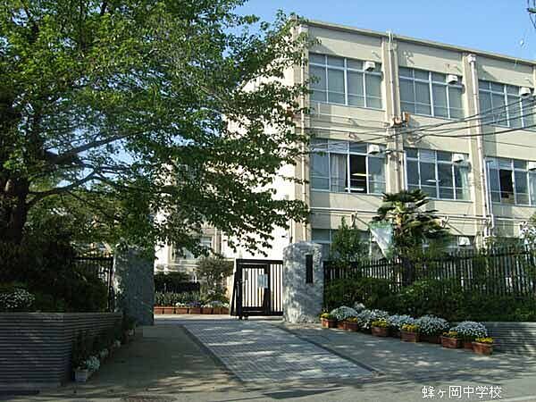 京都市立蜂ヶ岡中学校