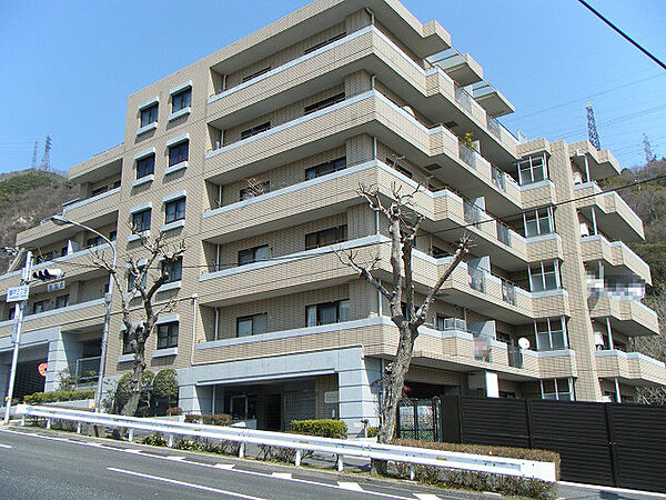 外観：328000652586