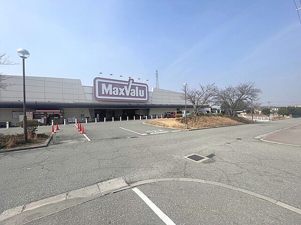 マックスバリュ石守店
