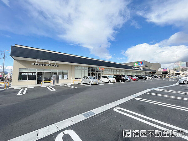 ライフ枚方大橋店