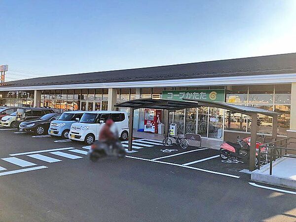 コープかたた店