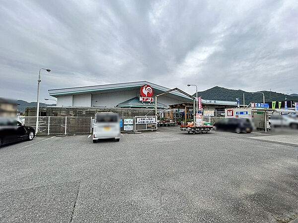 コメリハード＆グリーン市川店