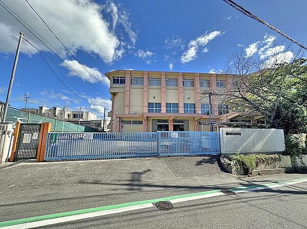 柏原市立国分小学校