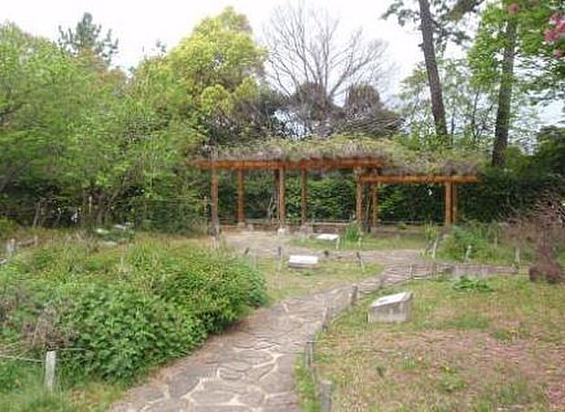 西田公園