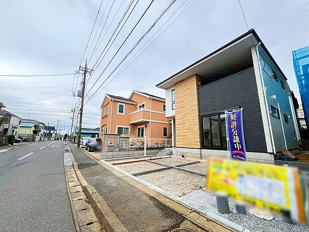 11/6撮影のお写真です