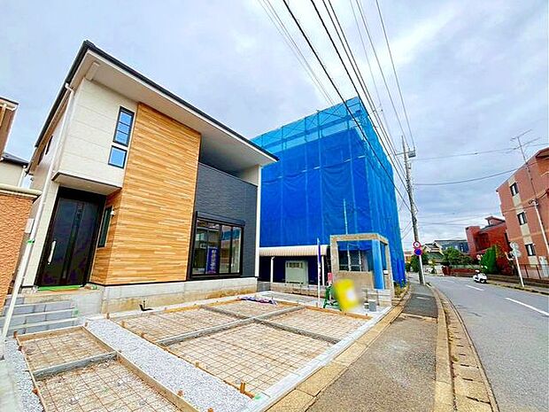 11/6撮影のお写真です