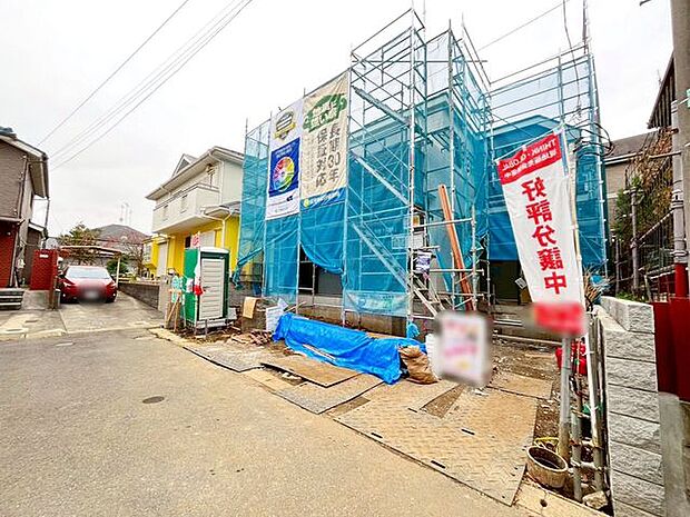 11/14撮影のお写真です