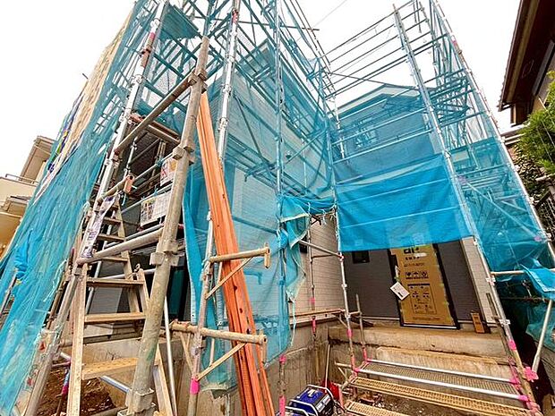 11/14撮影のお写真です