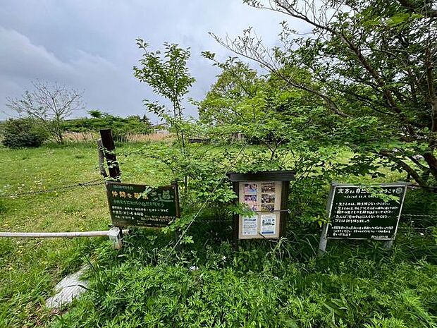 北方ミニ自然園 徒歩6分。 410m