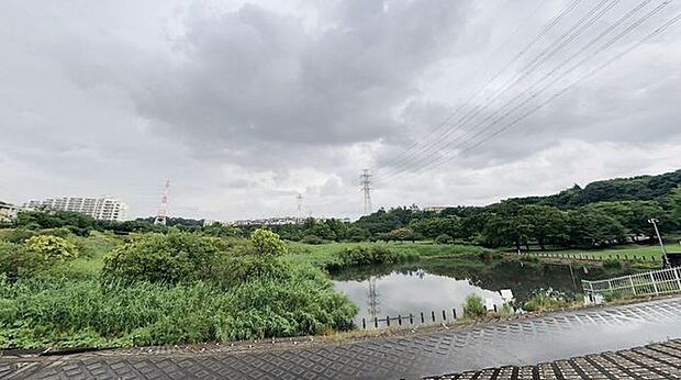 長津川緑地 徒歩11分。 880m