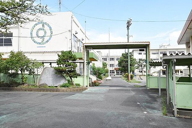 市川市立菅野小学校 徒歩4分。 250m