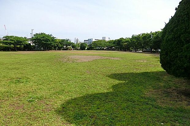 行徳駅前公園 徒歩10分。 780m