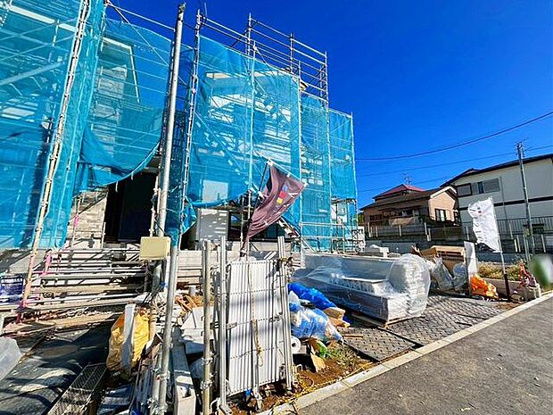 11/6撮影のお写真です