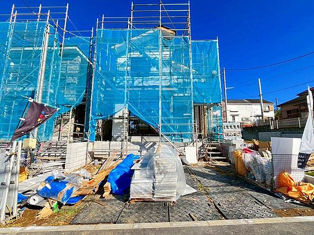 11/6撮影のお写真です