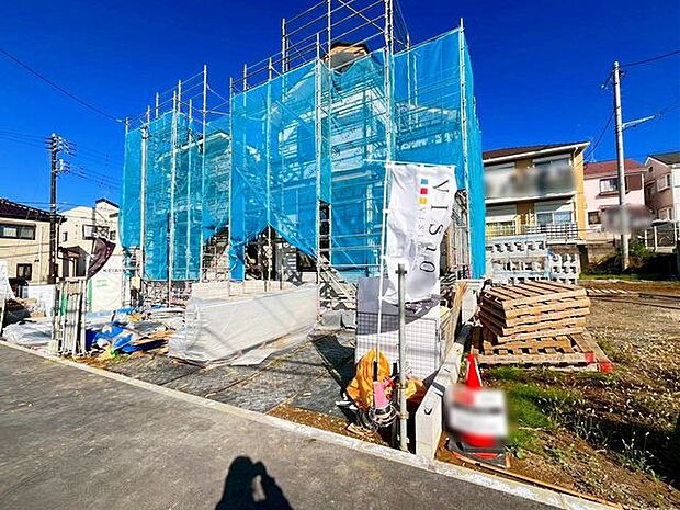 11/6撮影のお写真です