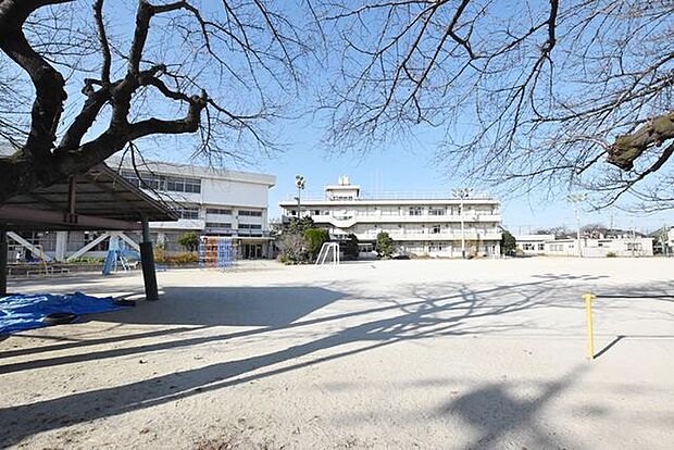 市川市立若宮小学校 徒歩7分。 550m