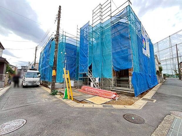 11/11撮影のお写真です